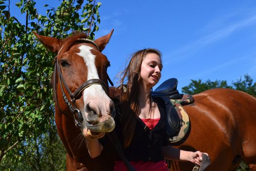 A young woman leading a brown horse at a horse farm.