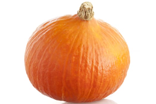Whole cooking pumpkin on plain background.