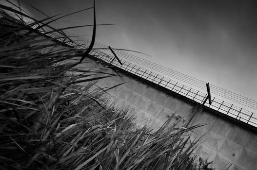 Black and white fence with barbed wire in grass