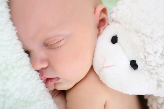 Beautiful newborn baby girl sleeping on a fluffy blanket with stuffed toy