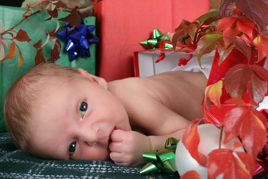 Newborn baby boy in a christmas gift bag