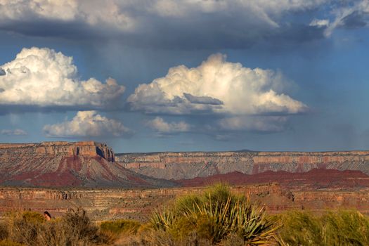 Late afternoon in the Grand Canyon Arizona