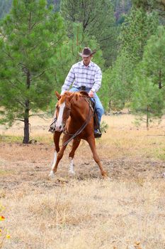 Young cowboy training his horses in a meadow