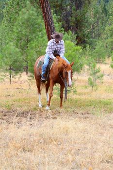 Young cowboy training his horses in a meadow