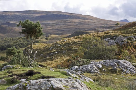 rural landscape in the scottish highlands with rough stones and a small tree in front