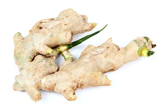 ginger over white background