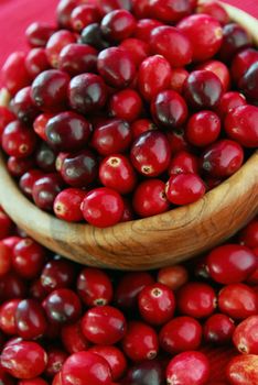 Fresh red cranberries in a wooden bowl