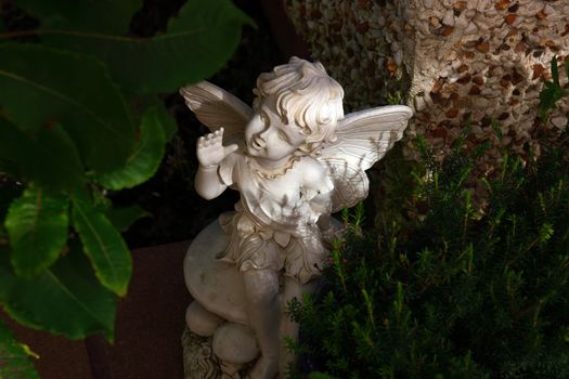 an angel cherub in the shadows of the garden plants