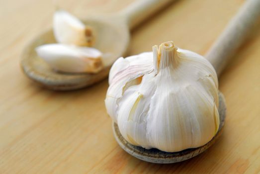 Bulbs and cloves of garlic on wooden cooking spoons