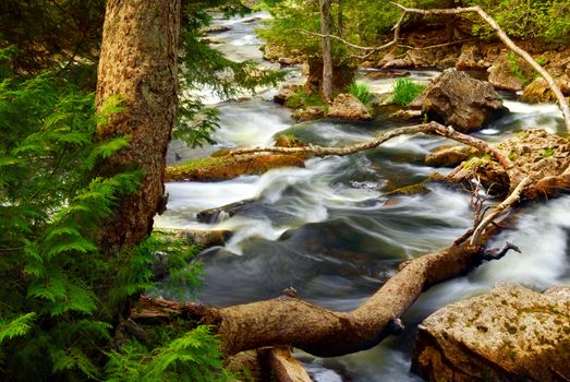 Rocky river rapids in wilderness in Ontario, Canada