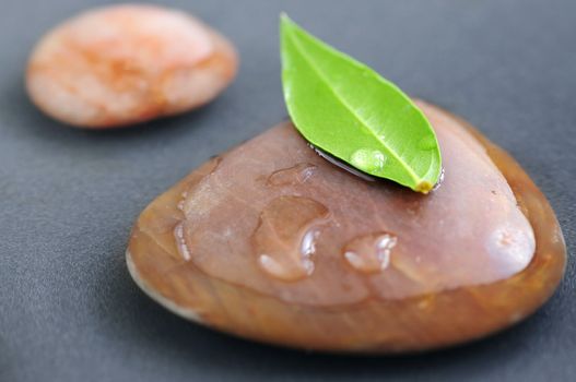 Zen stones submerged in water with green leaves