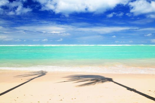 Pristine tropical beach with palm trees shadows on Caribbean island. Colors are natural.