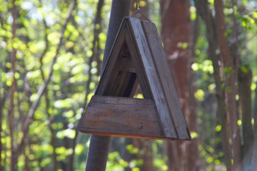 Feeding trough for birds in a wood