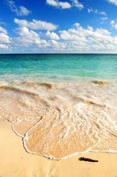 Tropical sandy beach with advancing wave and blue sky
