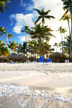 Sandy beach of tropical resort with palm trees and reclining chairs