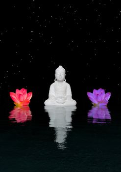 buddha and water lily