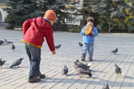 Children fed the pigeons in autumn city park