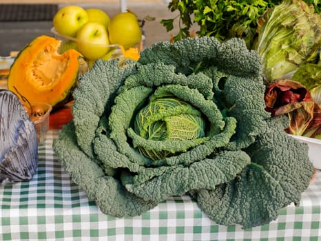 Big savoy cabbage on display at local farmers market