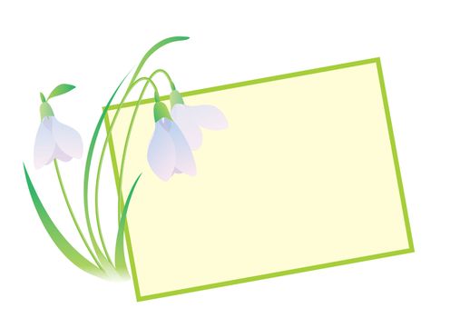 snowdrop flower vector frame