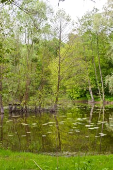 Largest and oldest city park in Srem