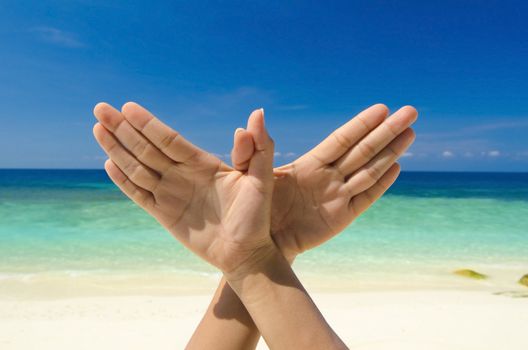 Conceptual hand gesture of Dove, world peace concept. Original hand posing at beach.
