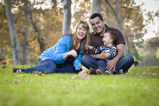 Happy Young Mixed Race Ethnic Family Playing Together with Bubbles In The Park.