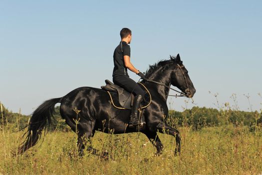young man and his black stallion in a field