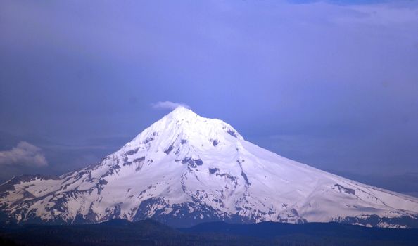 Mount Hood







Mt Hood