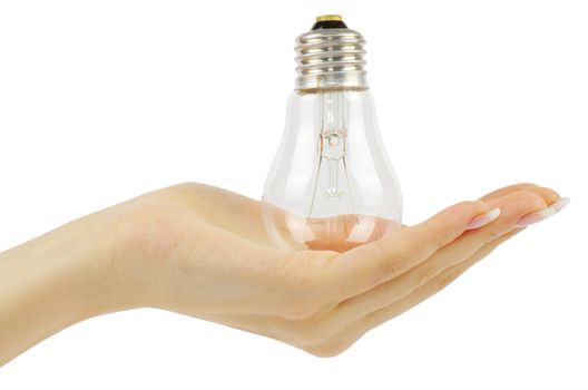  hand holding bulb isolated on white background