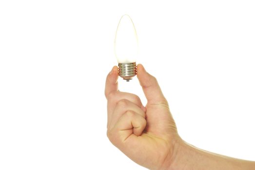  hand holding bulb isolated on white background