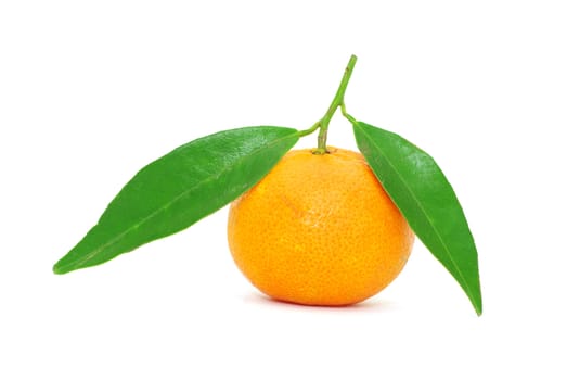  tangerine isolated on a white background