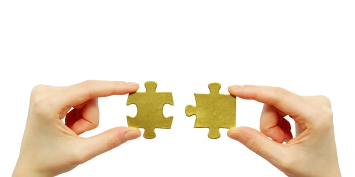  puzzle in hands isolated on white background