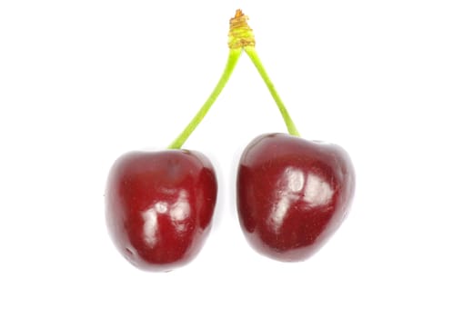 Two cherries against white background