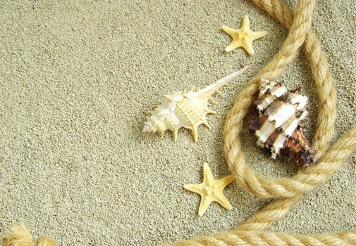 starfish and shells in rope on sand