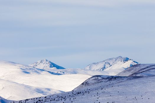 Alpine tundra in winter, Yukon Territory, Canada.