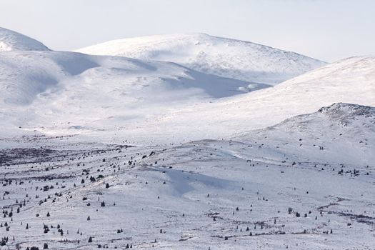 Alpine tundra in winter, Yukon Territory, Canada.