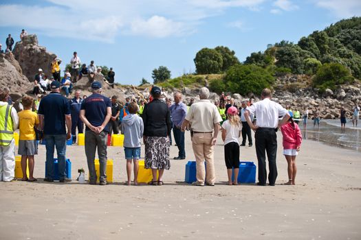 Tauranga, New Zealand - November 22, 2011: Members of WWF Response team, dignitories and public crouch by the boxes of penguins and start the release. The penguins were oiled following the wrecking of the ship Rena off the coast of Tauranga.