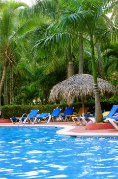Swimming pool and palm trees at tropical resort