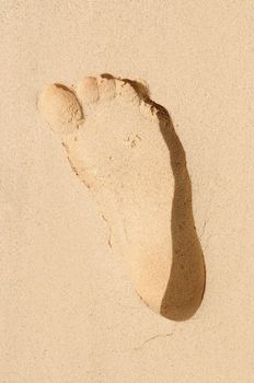 Single footprint on a sandy beach close up