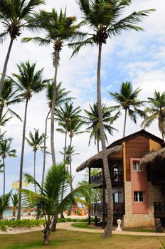 Luxury hotel at tropical resort on ocean shore with palm trees