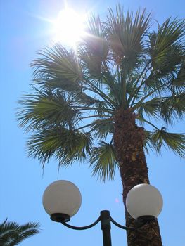 plam, latern, blue greece, sun