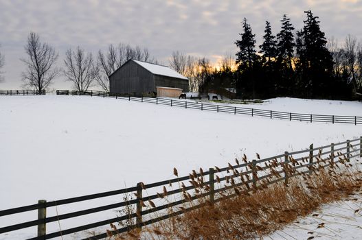 Farm with a barn and horses in winter at sunset