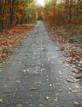 Autumn walk and rest