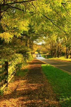 Picturesque autumn landscape