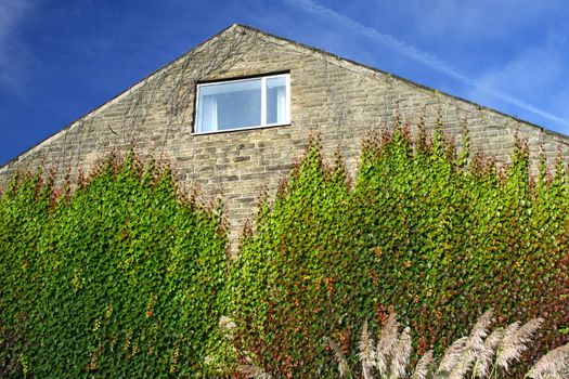 Our Sweet House - Autumn leaves on walls