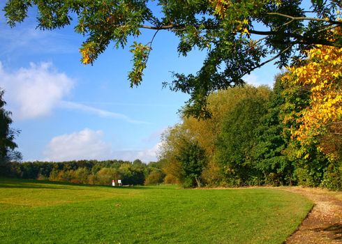 Autumn field