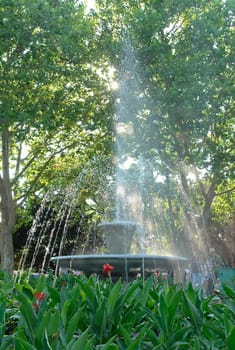 A small fountain in the summer park