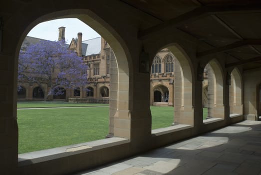 gothic revival architecture at sydney university, australia