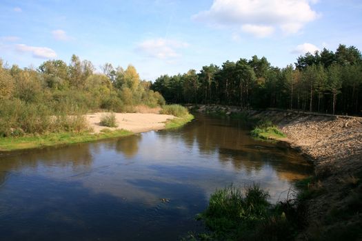 River’s meander  in forest – Polish landscape