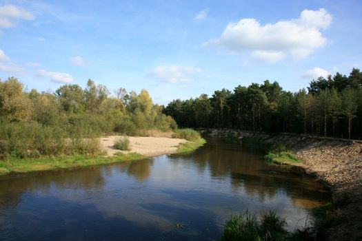 River’s meander  in forest – Polish landscape